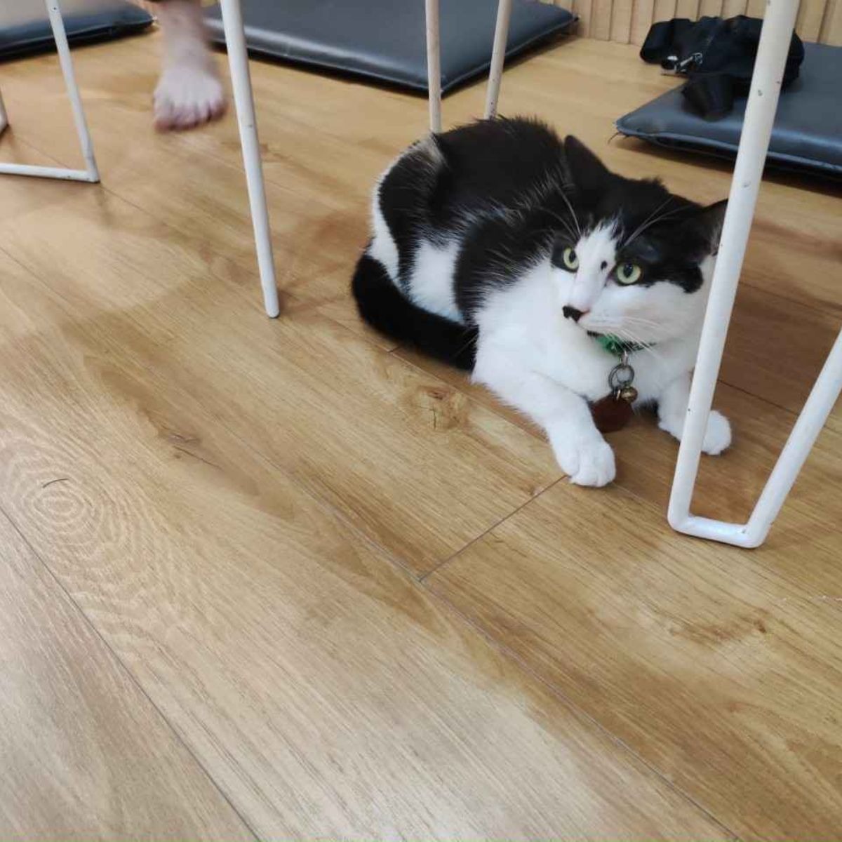 Vì sao sàn nhà dễ ẩm mốc ?