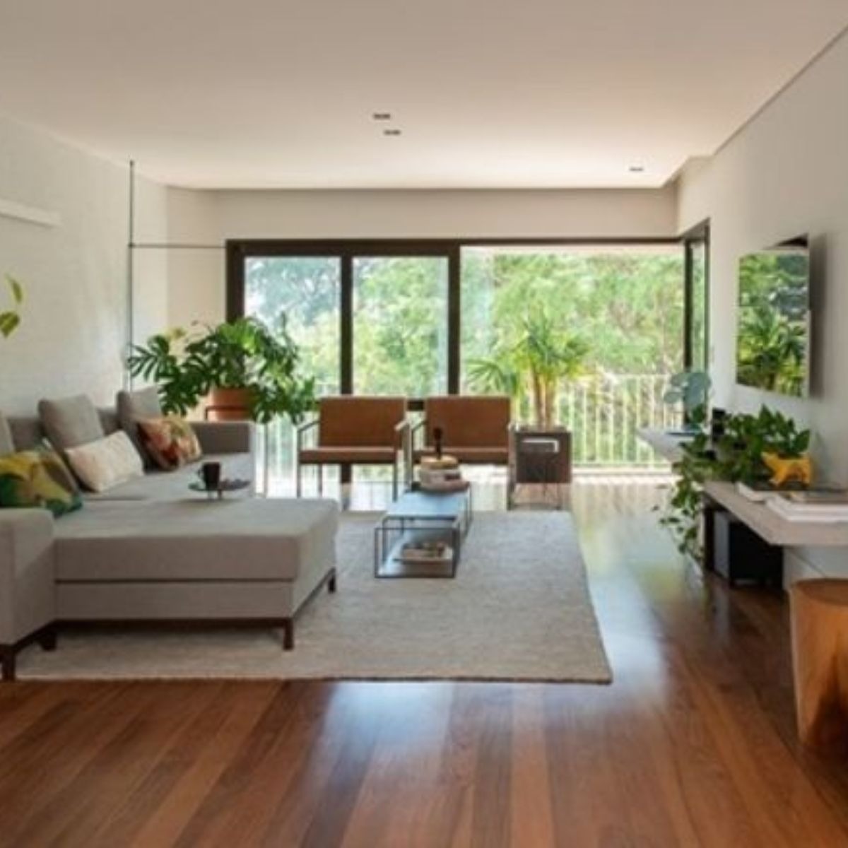 Mẹo Chọn Mua & Bảo Trì Sàn Gỗ Đúng Cách