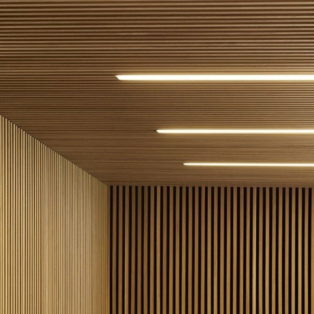 Lam Sóng & Tiếng Vang Giảm Echo Bao Nhiêu dB Sự Thật Bạn Nên Biết!