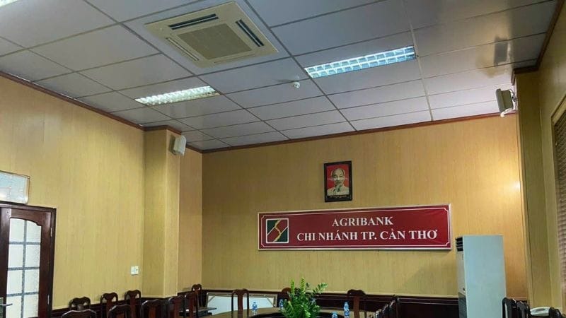Tấm nhựa trần thả công trình Cần Thơ