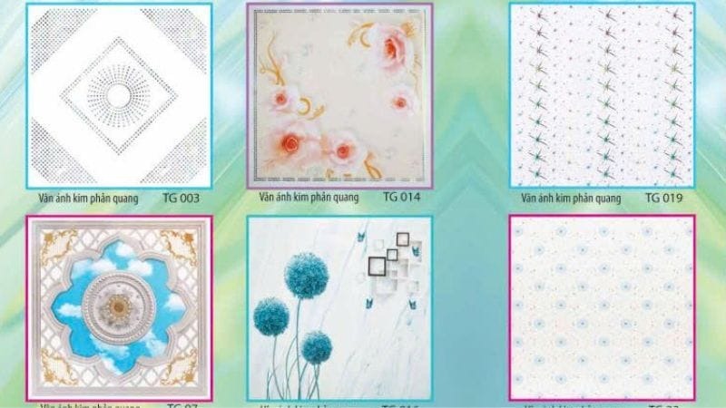 tam nhua la phong la gi